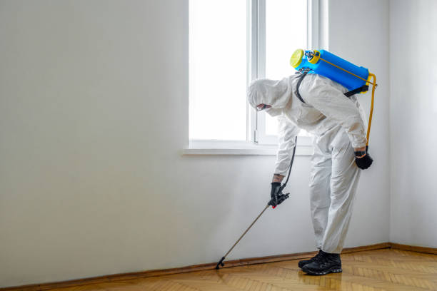 Best Commercial Pest Control Services  in Brush Prairie, WA