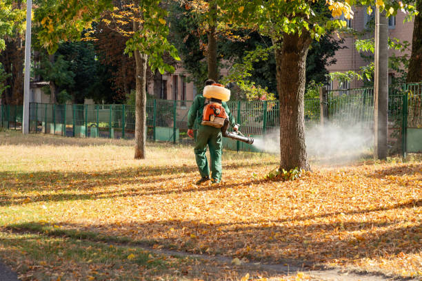 Best Rodent Control Near Me  in Brush Prairie, WA