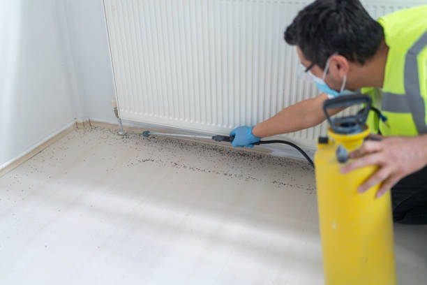 Best Cockroach Control Services  in Brush Prairie, WA